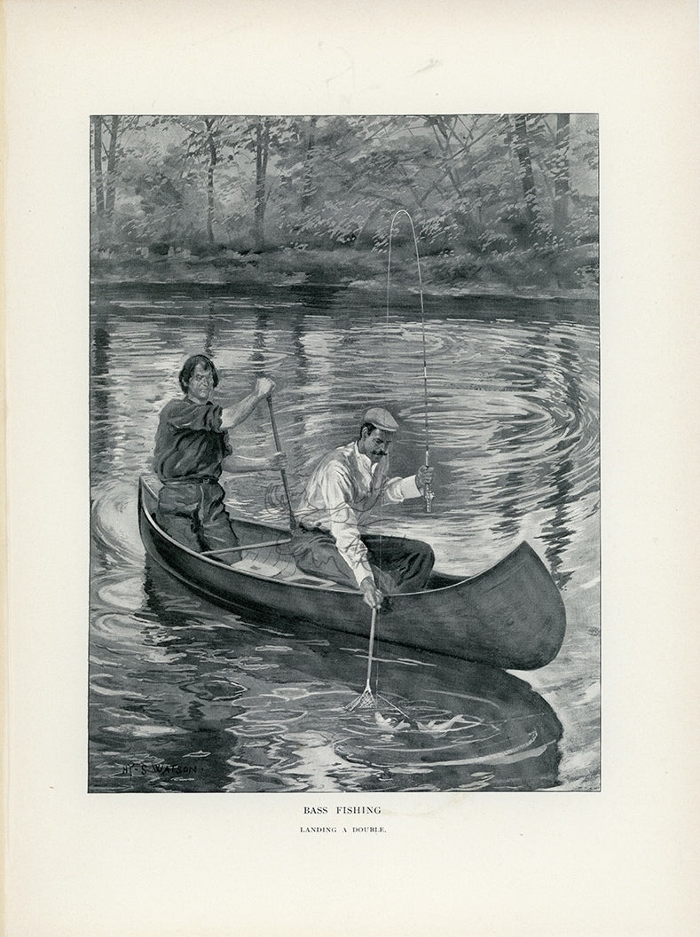 1902 Bass Fishing - Landing A Double Antique Henry Sumner Watson Print at Adirondack Retro