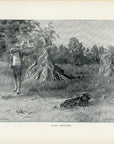 1902 Quail Shooting Antique Henry Sumner Watson Print at Adirondack Retro