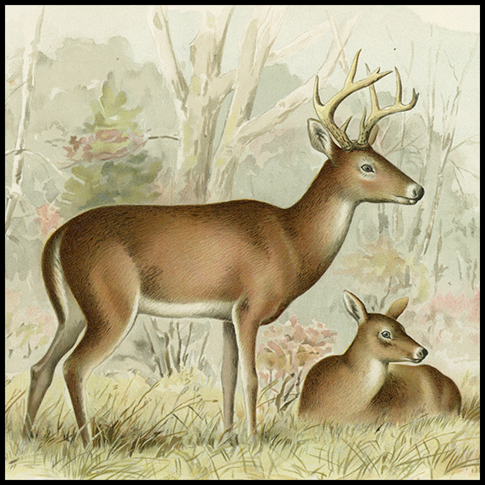 Hunter Gift Ideas at Adirondack Retro
