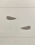 Thomas Martyn 1784 Original Crinkled Club Shell Print Plate 12 - Found at Friendly Isles - Hand-Colored Tipped-In Engraving at Adirondack Retro