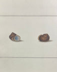 Thomas Martyn 1784 Original French Horn Snail Shell Print Plate 27 - Found at Pulo Condore - Hand-Colored Tipped-In Engraving at Adirondack Retro