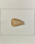 Thomas Martyn 1784 Original Girdle Volute Shell Print Plate 39 - Found at Friendly Isles - Hand-Colored Tipped-In Engraving at Adirondack Retro
