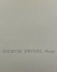 Pryor's Dicaeum (Dicaeum Pryeri) - John Gould Birds Of Asia - Original Hand Colored Lithograph