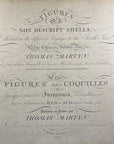Thomas Martyn 1784 Original Crinkled Club Shell Print Plate 12 - Found at Friendly Isles - Hand-Colored Tipped-In Engraving