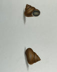 Thomas Martyn 1784 Original Ribbed Trochus Shell Print Plate 34 - Found at King George's Sound - Hand-Colored Tipped-In Engraving