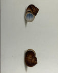 Thomas Martyn 1784 Original French Horn Snail Shell Print Plate 27 - Found at Pulo Condore - Hand-Colored Tipped-In Engraving