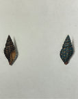 Thomas Martyn 1784 Original Prismatic Buccin Shell Print II - Found at Friendly Isles - Hand-Colored Tipped-In Engraving