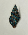 Thomas Martyn 1784 Original Prismatic Buccin Shell Print II - Found at Friendly Isles - Hand-Colored Tipped-In Engraving