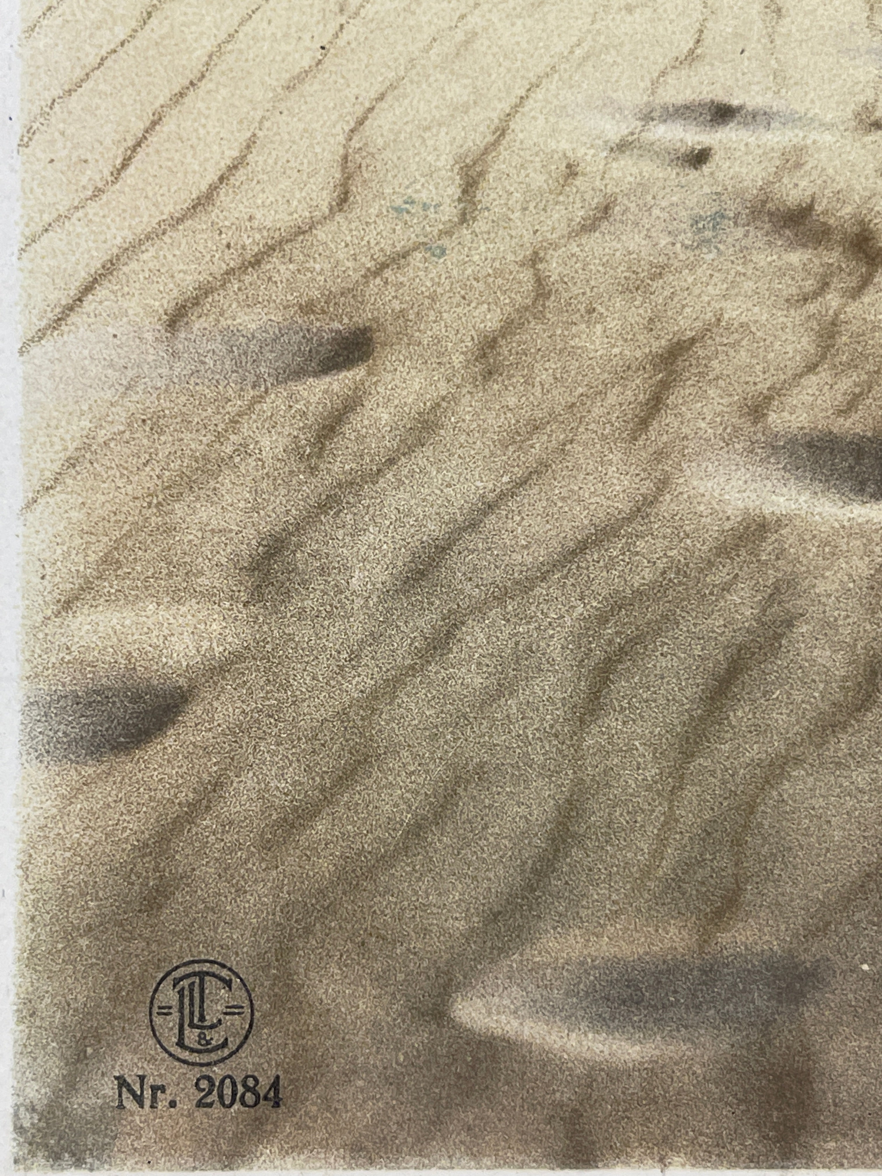 Lehnert & Landrock Antique Color Photogravure