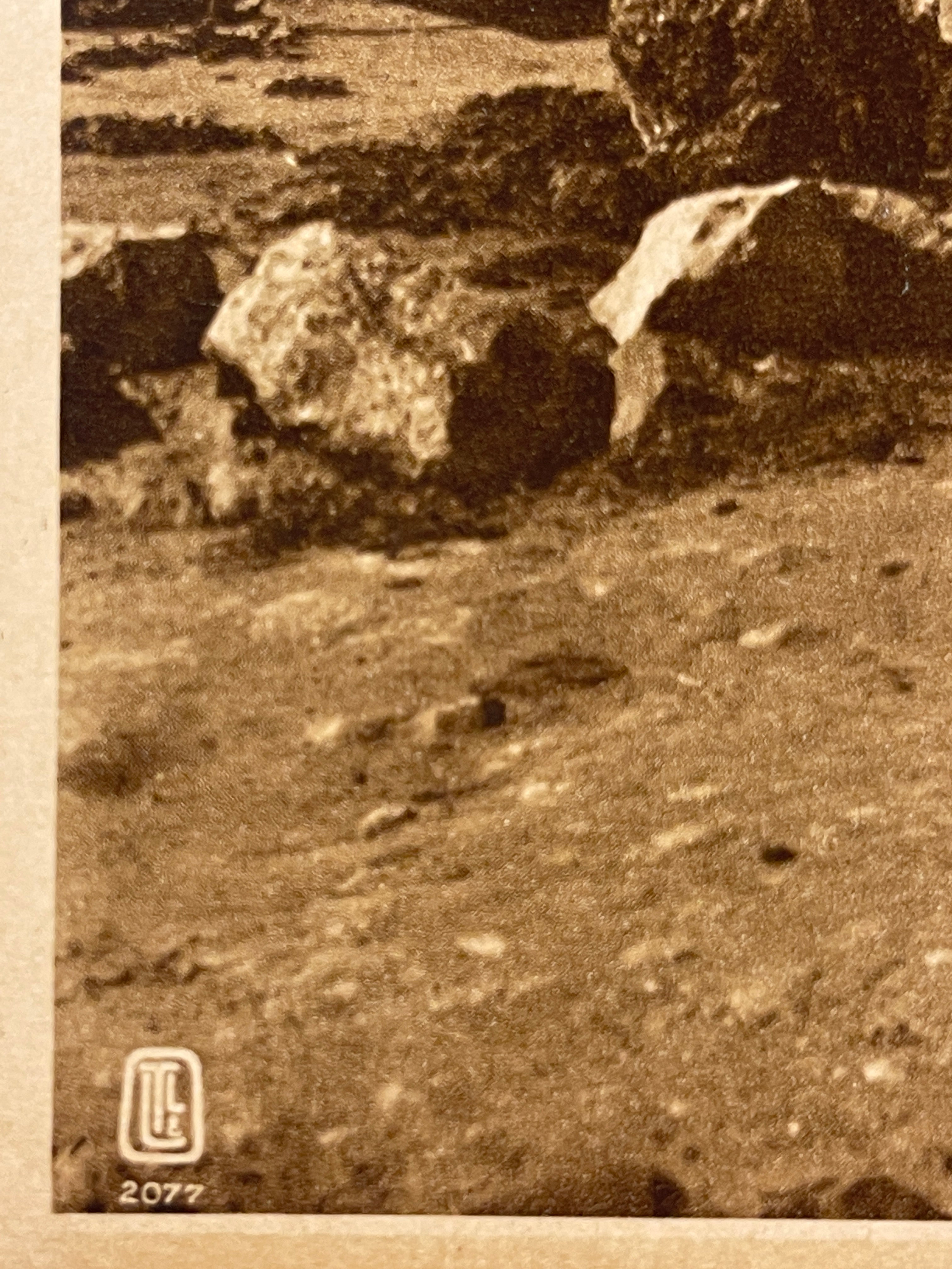 Lehnert & Landrock Antique Photogravure