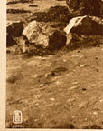 Lehnert & Landrock Antique Photogravure