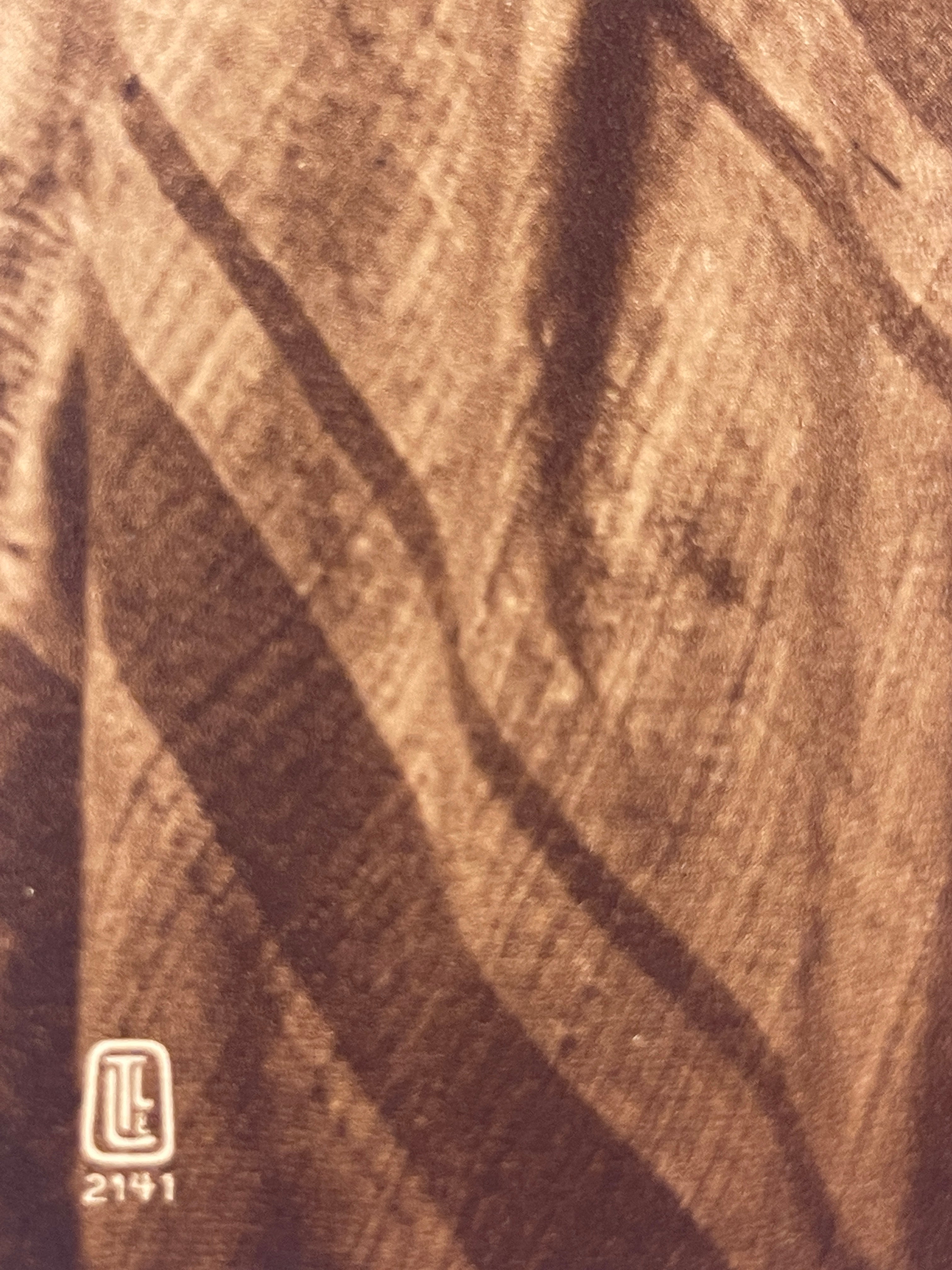 Lehnert & Landrock Antique Photogravure