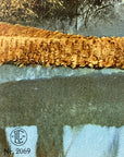 Lehnert & Landrock Antique Color Photogravure