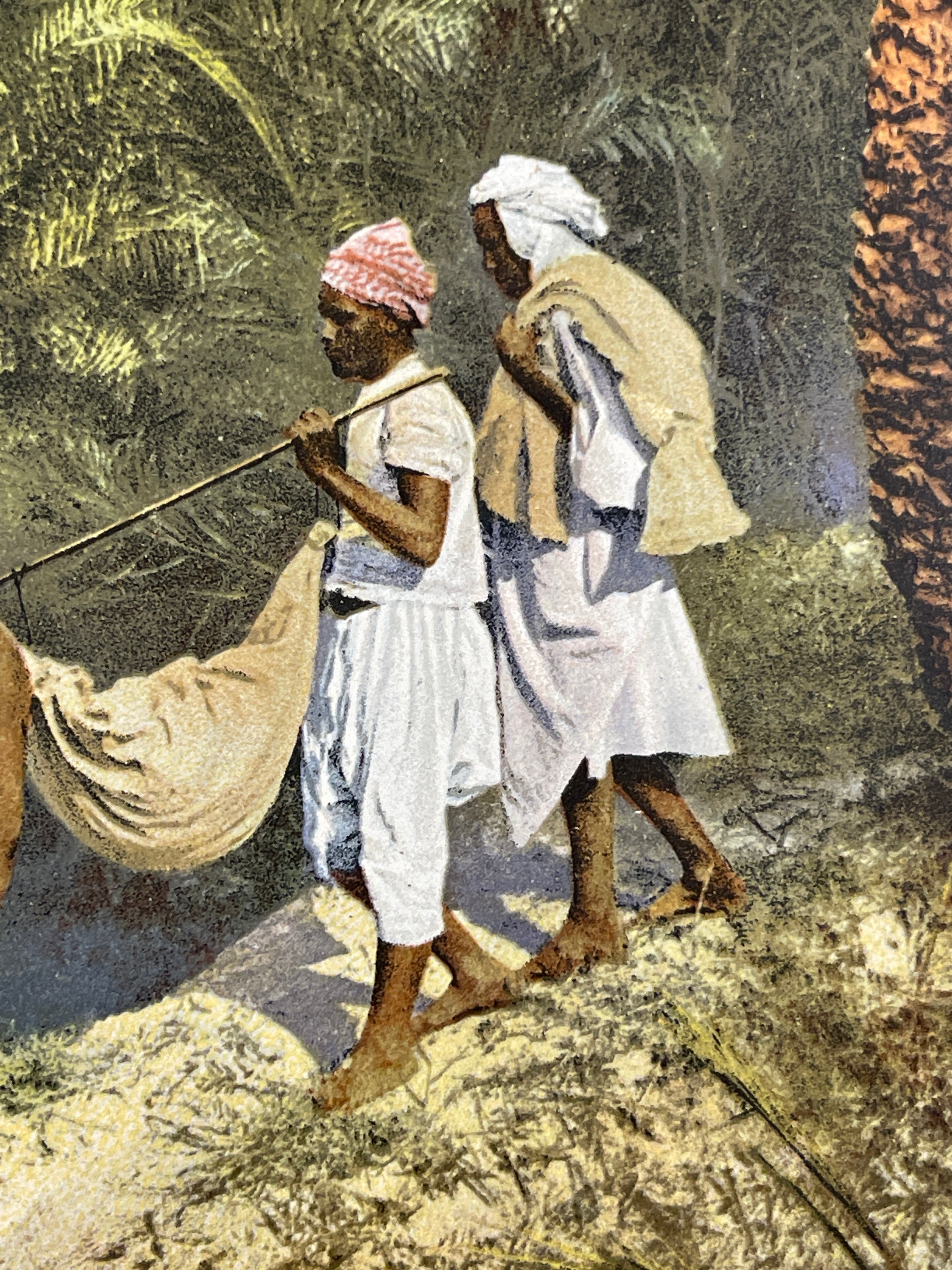 Lehnert & Landrock Antique Color Photogravure