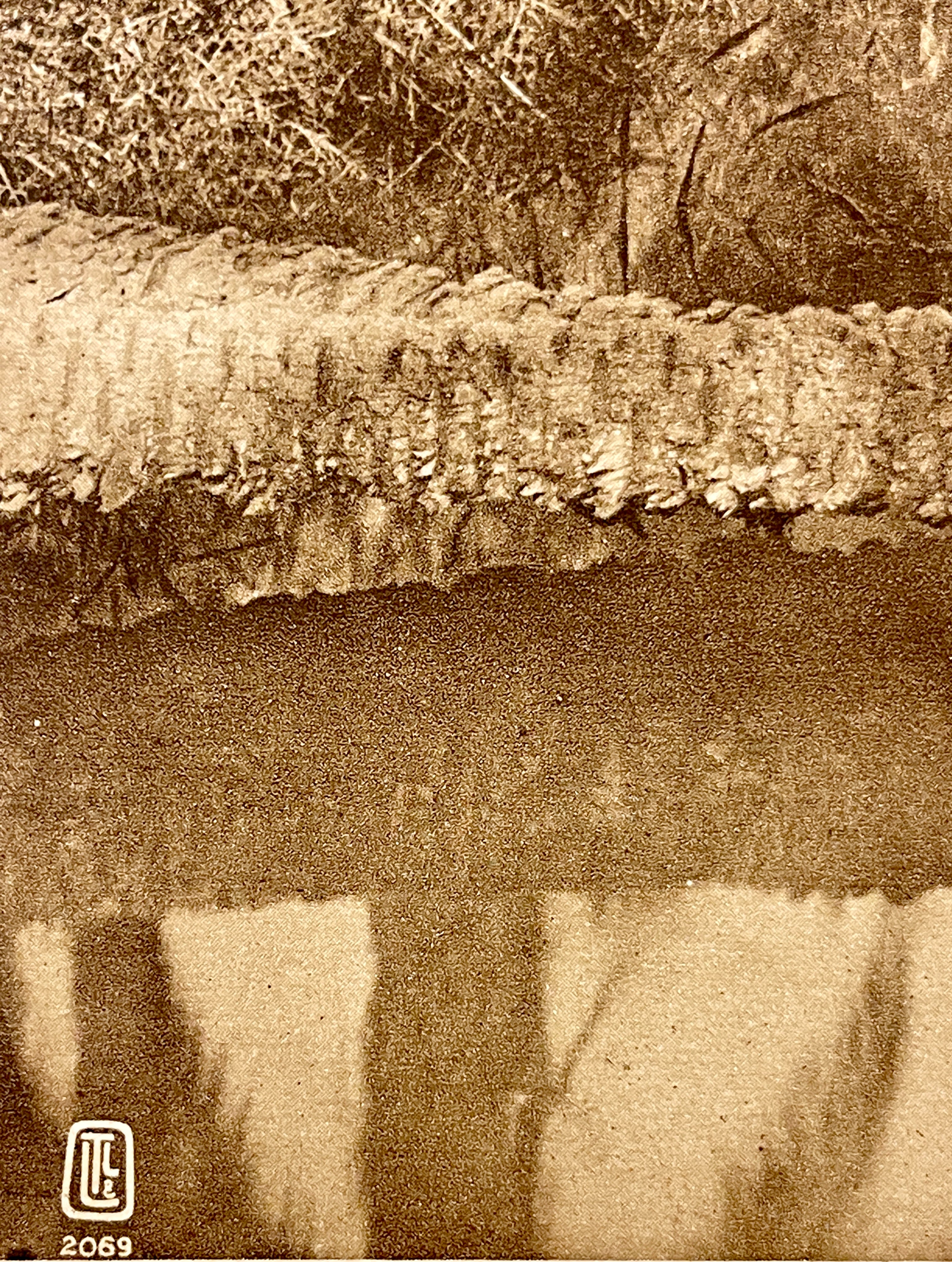 Lehnert & Landrock Antique Photogravure