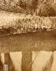 Lehnert & Landrock Antique Photogravure