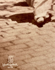 Lehnert & Landrock Antique Photogravure