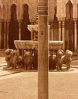 Lehnert & Landrock Antique Photogravure