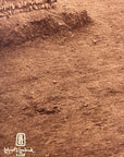 Lehnert & Landrock Antique Photogravure
