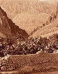 Lehnert & Landrock Antique Photogravure