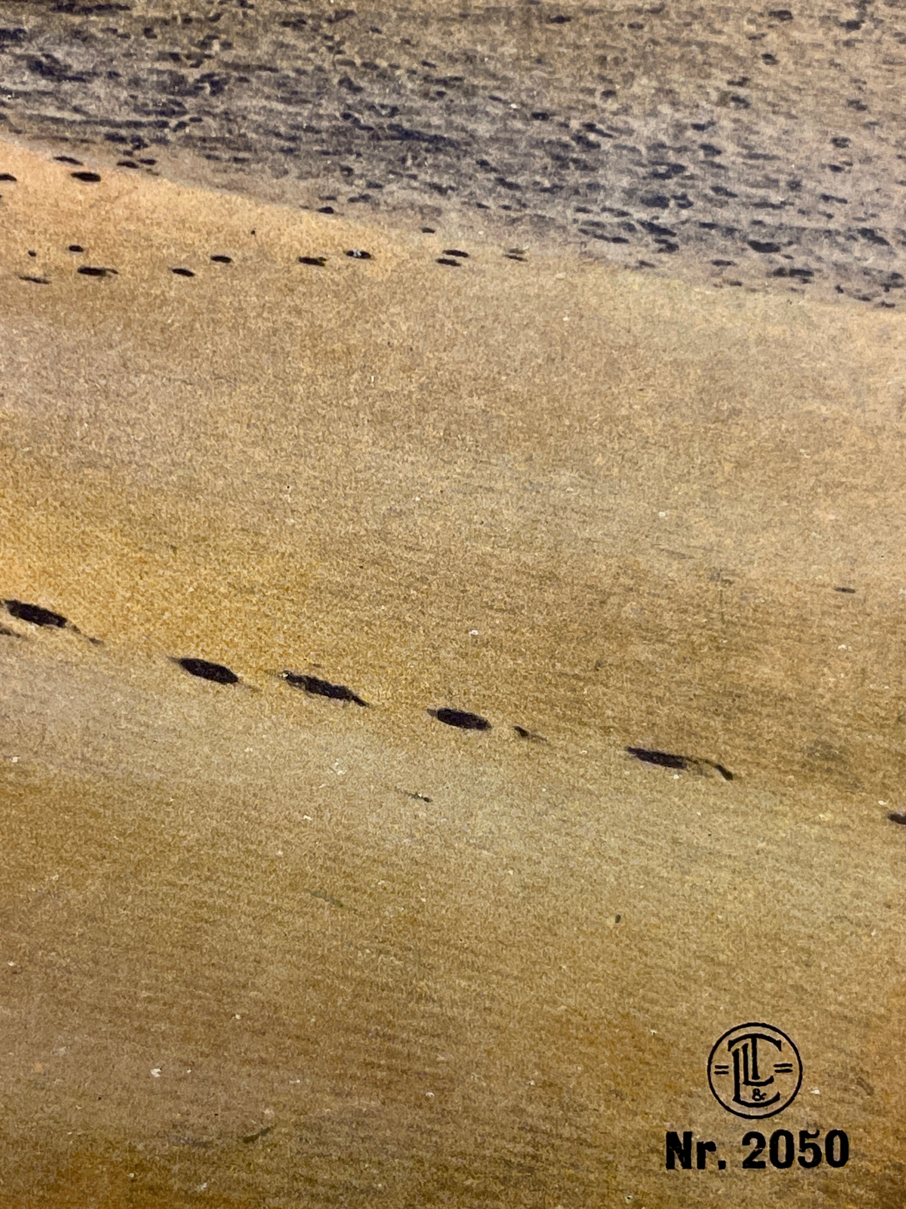 Lehnert & Landrock Antique Color Photogravure 1910s