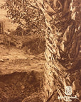 Lehnert & Landrock Antique Photogravure