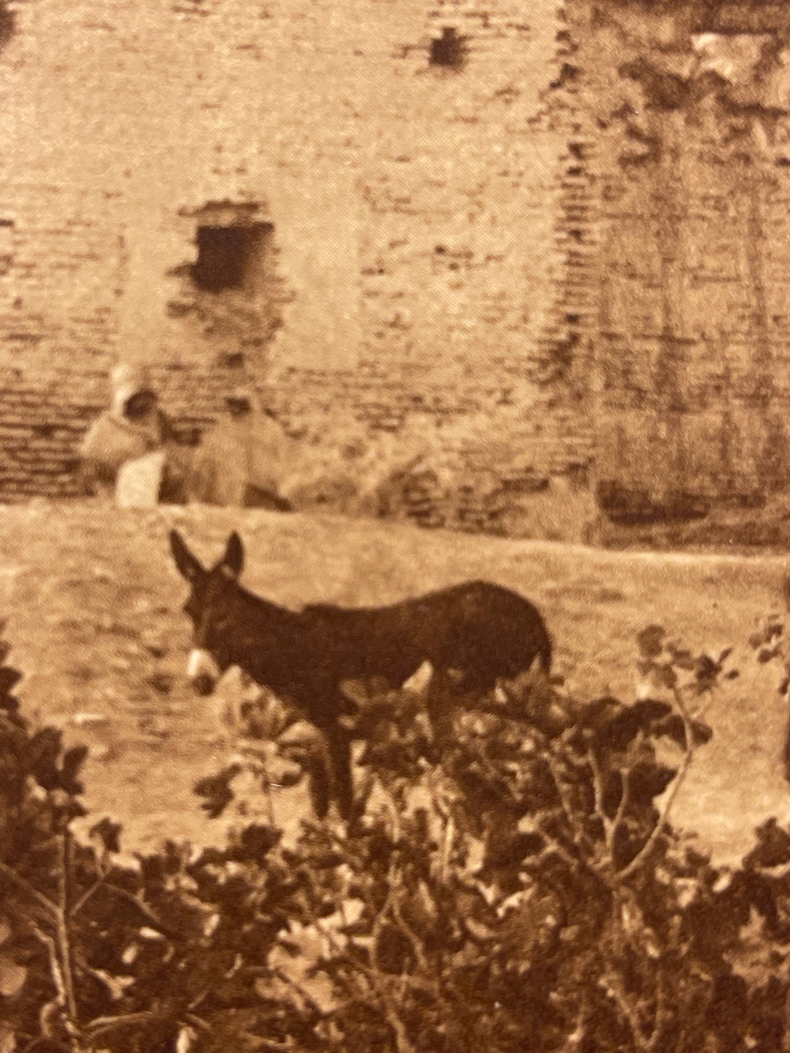 Lehnert & Landrock Antique Photogravure