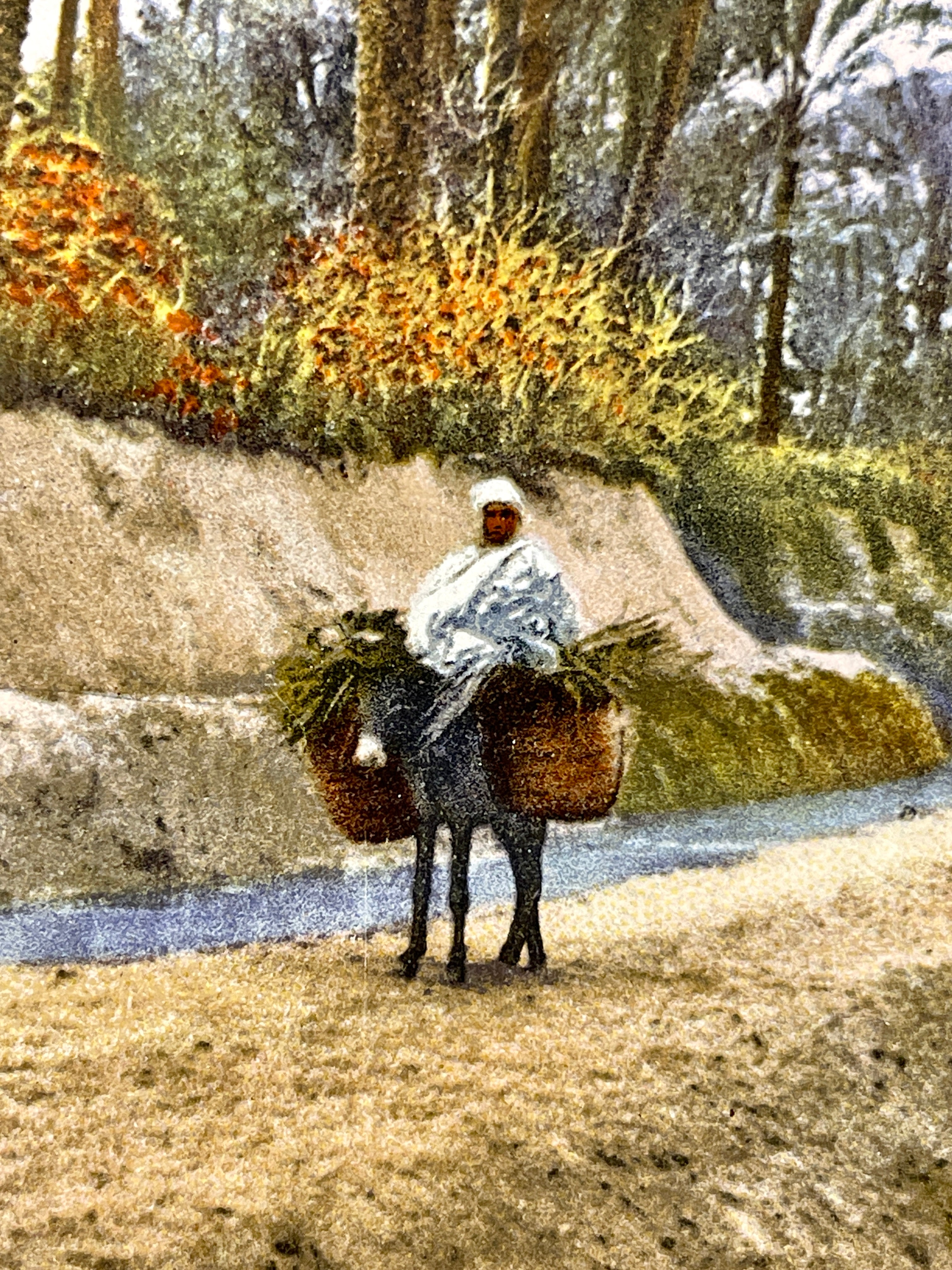 Lehnert & Landrock Antique Color Photogravure