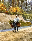 Lehnert & Landrock Antique Color Photogravure