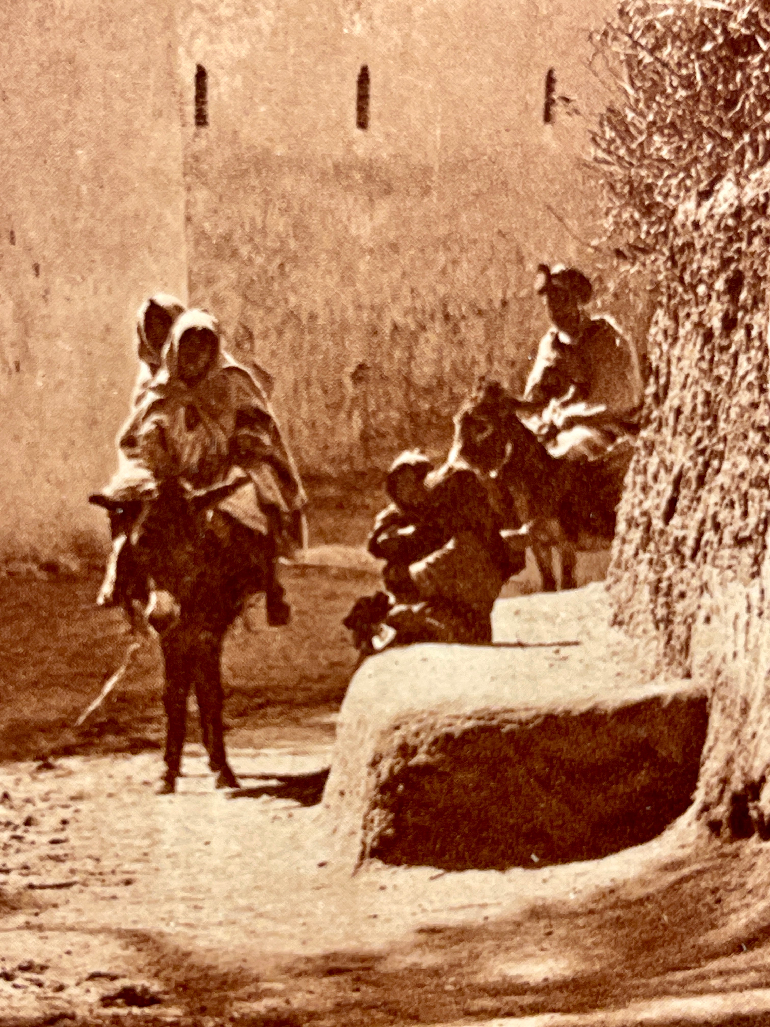 Lehnert & Landrock Antique Photogravure