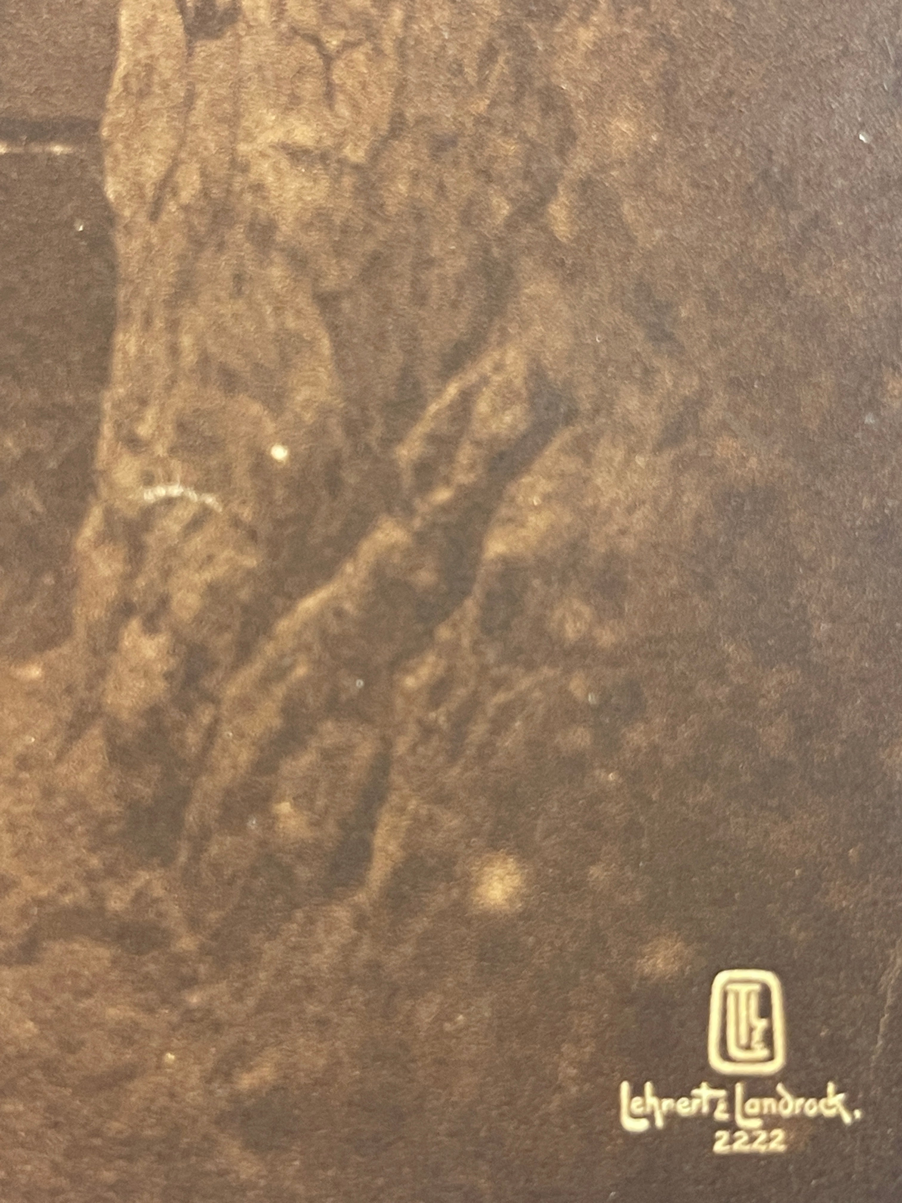 Lehnert & Landrock Antique Photogravure c. 1910s