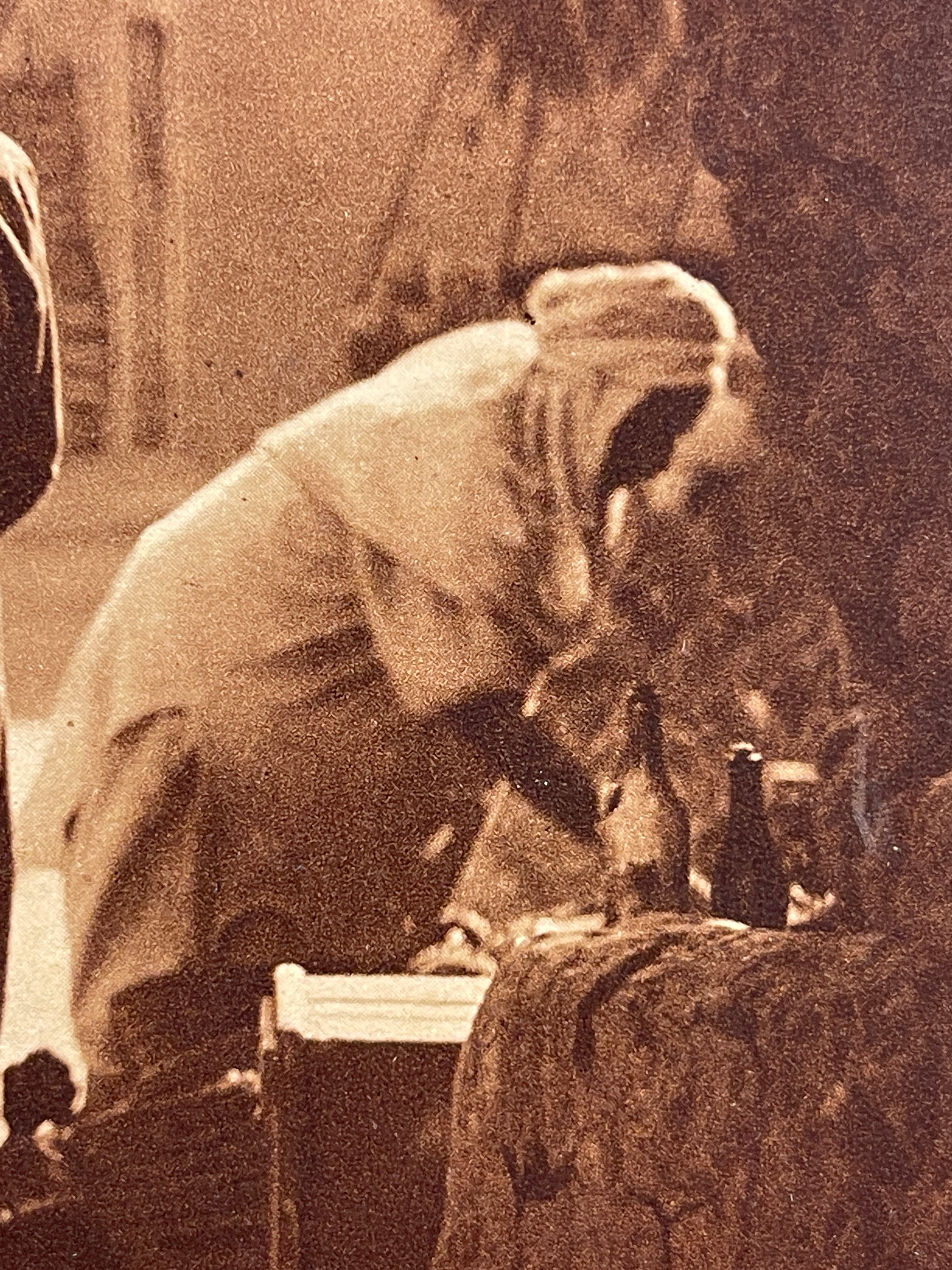 Lehnert & Landrock Antique Photogravure c. 1910s