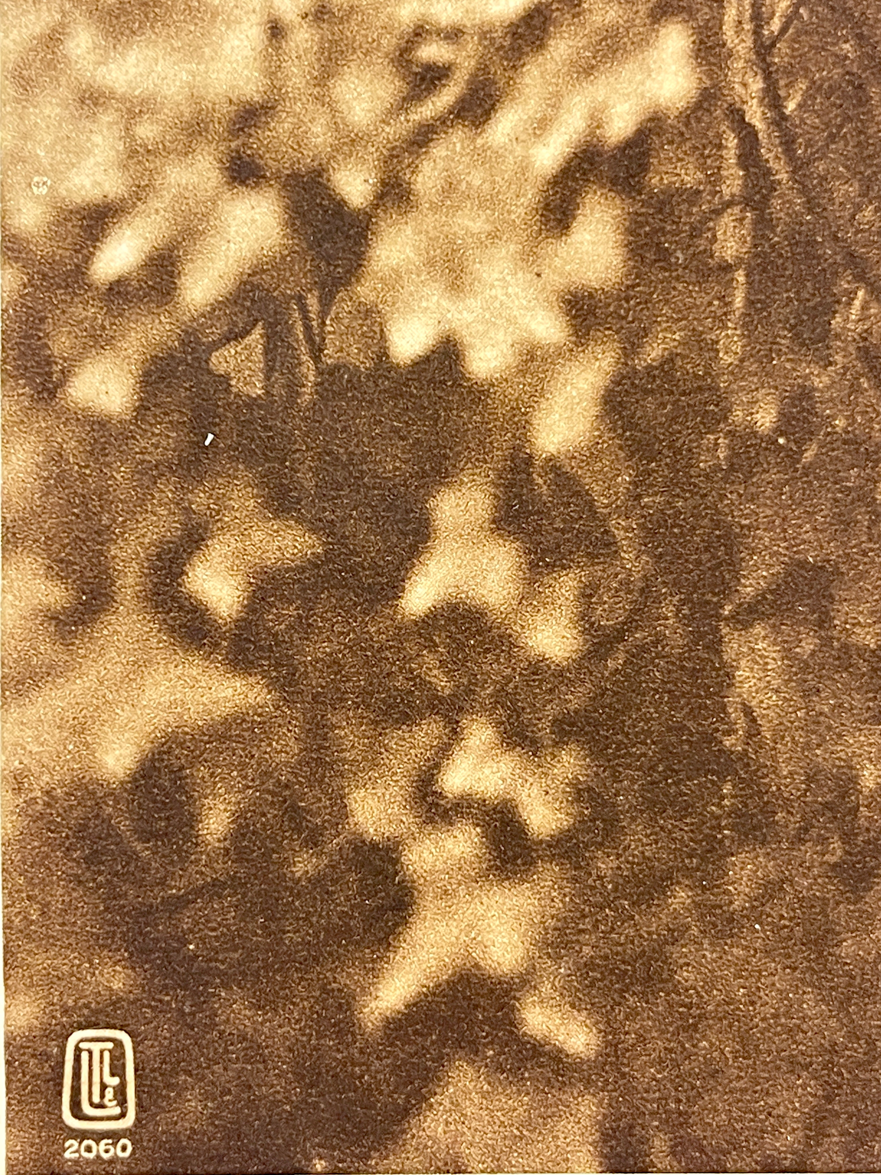 Lehnert & Landrock Antique Photogravure
