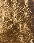Lehnert & Landrock Antique Color Photogravure