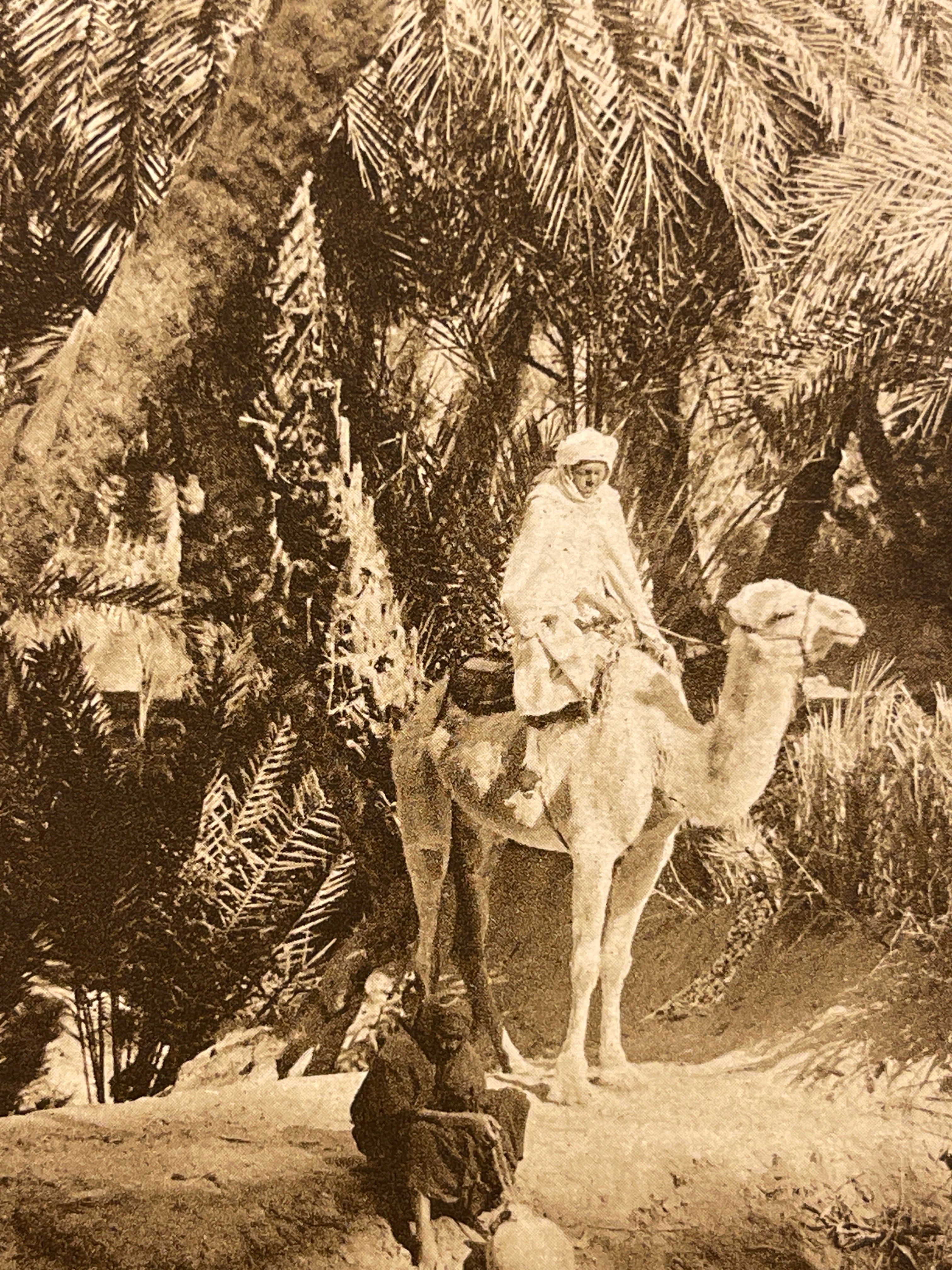 Lehnert & Landrock Antique Color Photogravure