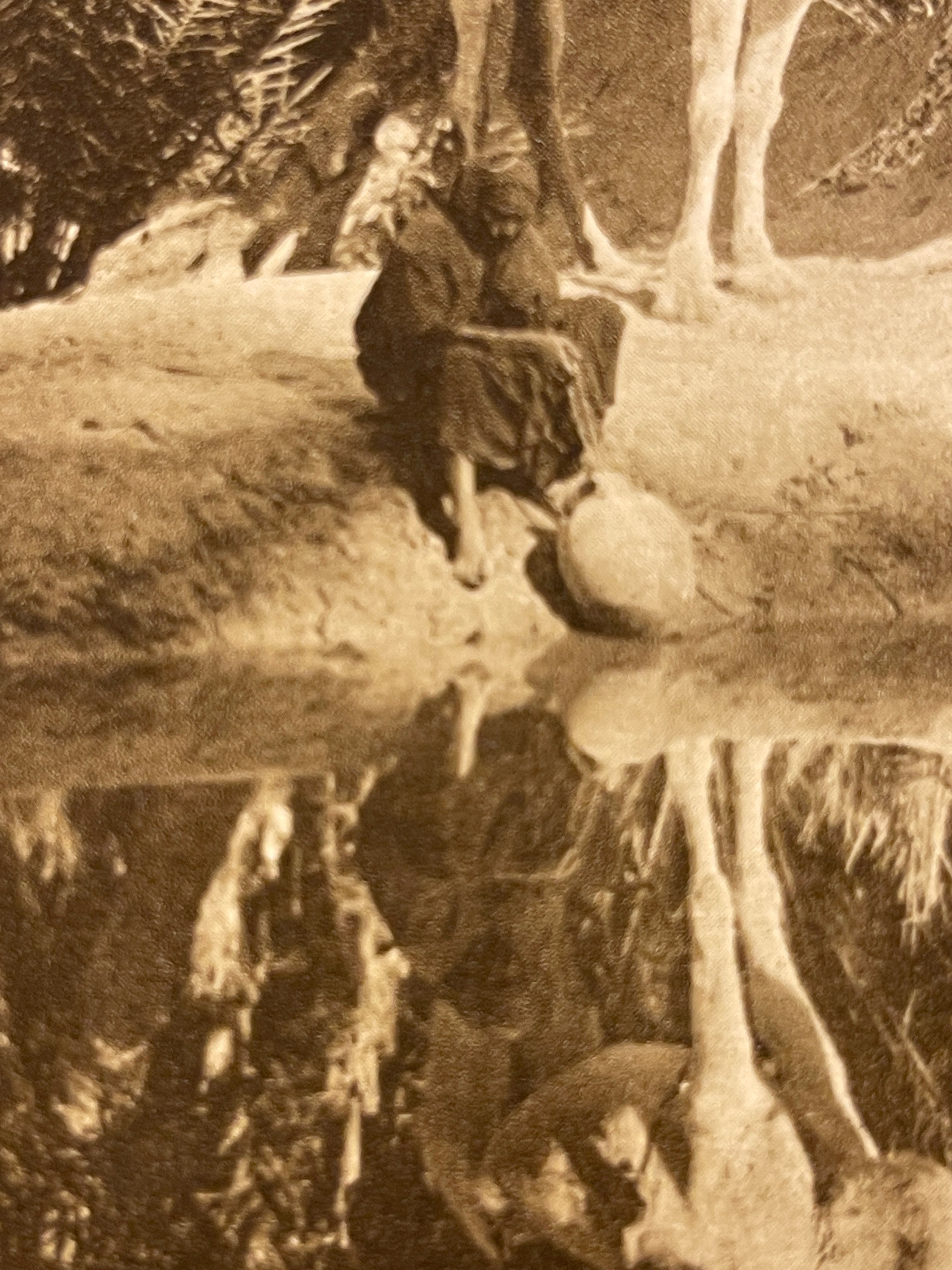 Lehnert & Landrock Antique Color Photogravure