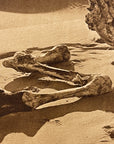Lehnert & Landrock Antique Photogravure