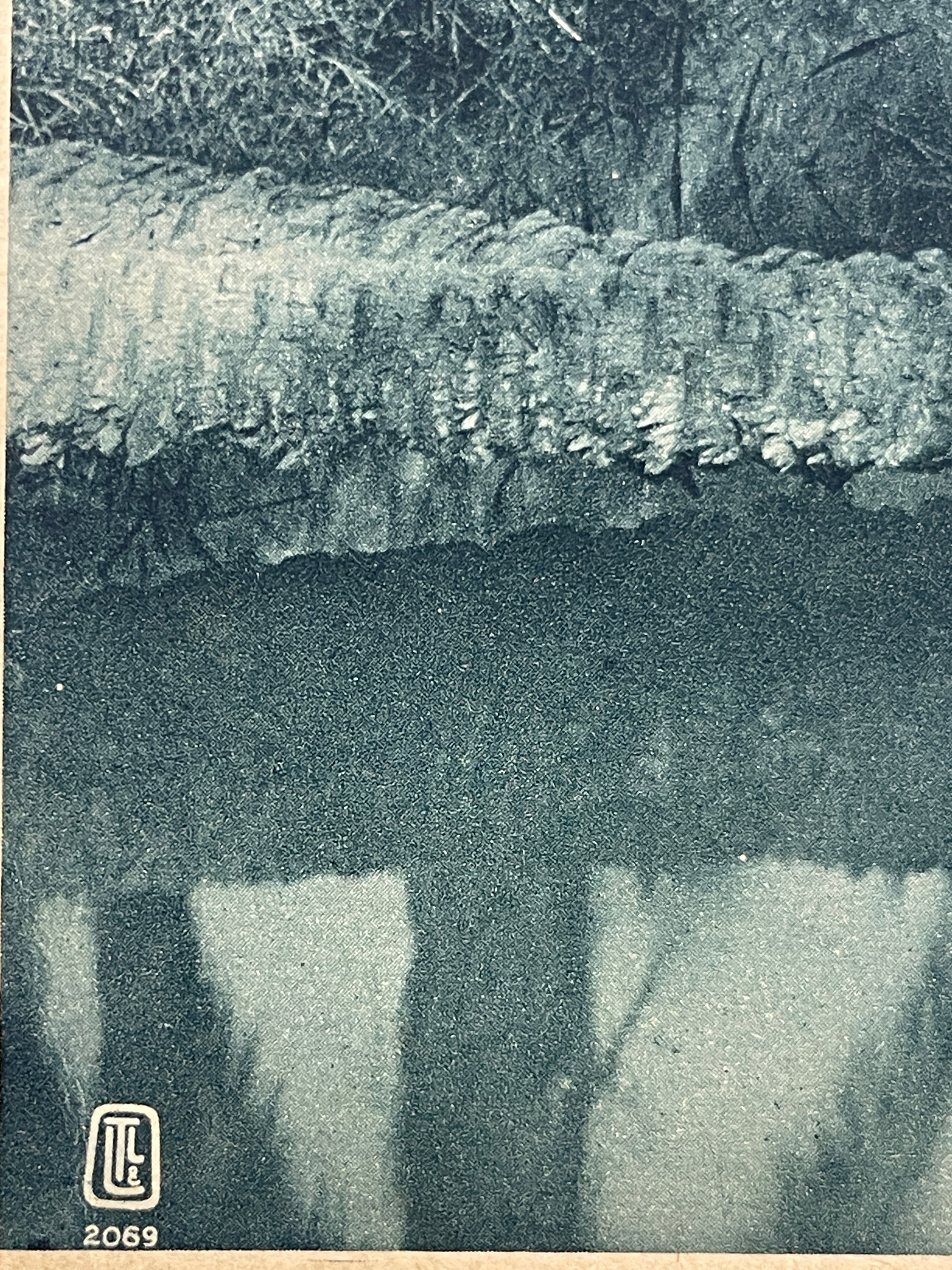 Lehnert & Landrock Antique Photogravure