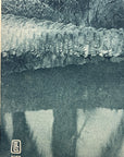 Lehnert & Landrock Antique Photogravure