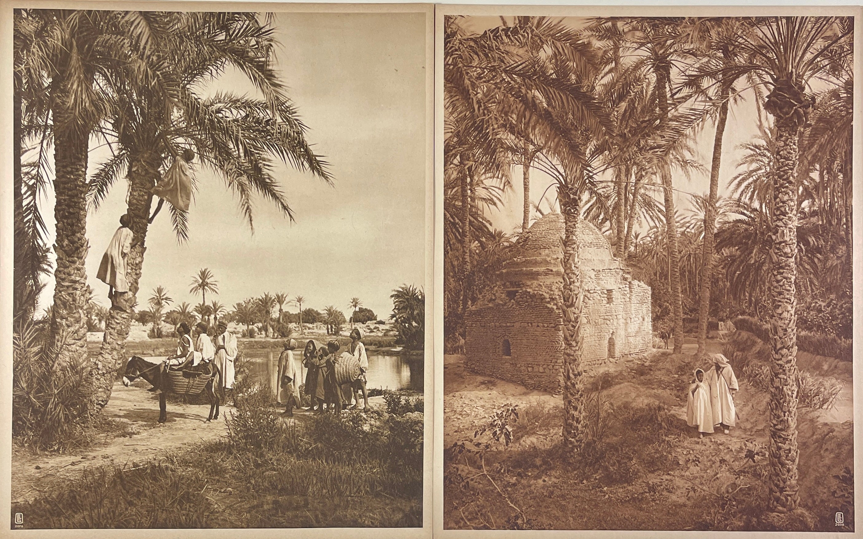 Lehnert & Landrock Photogravures - Lot of 20 Original Photogravures