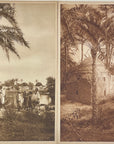 Lehnert & Landrock Photogravures - Lot of 20 Original Photogravures