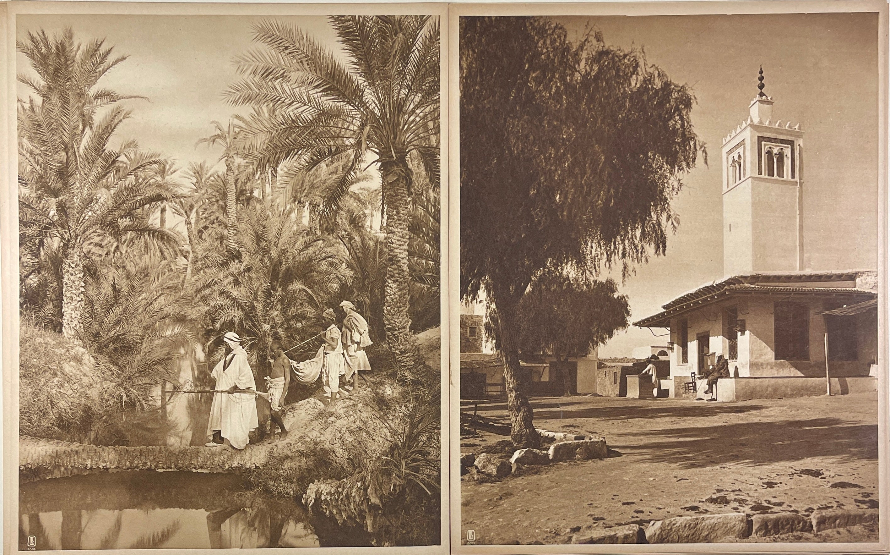 Lehnert & Landrock Photogravures - Lot of 20 Original Photogravures