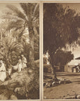 Lehnert & Landrock Photogravures - Lot of 20 Original Photogravures