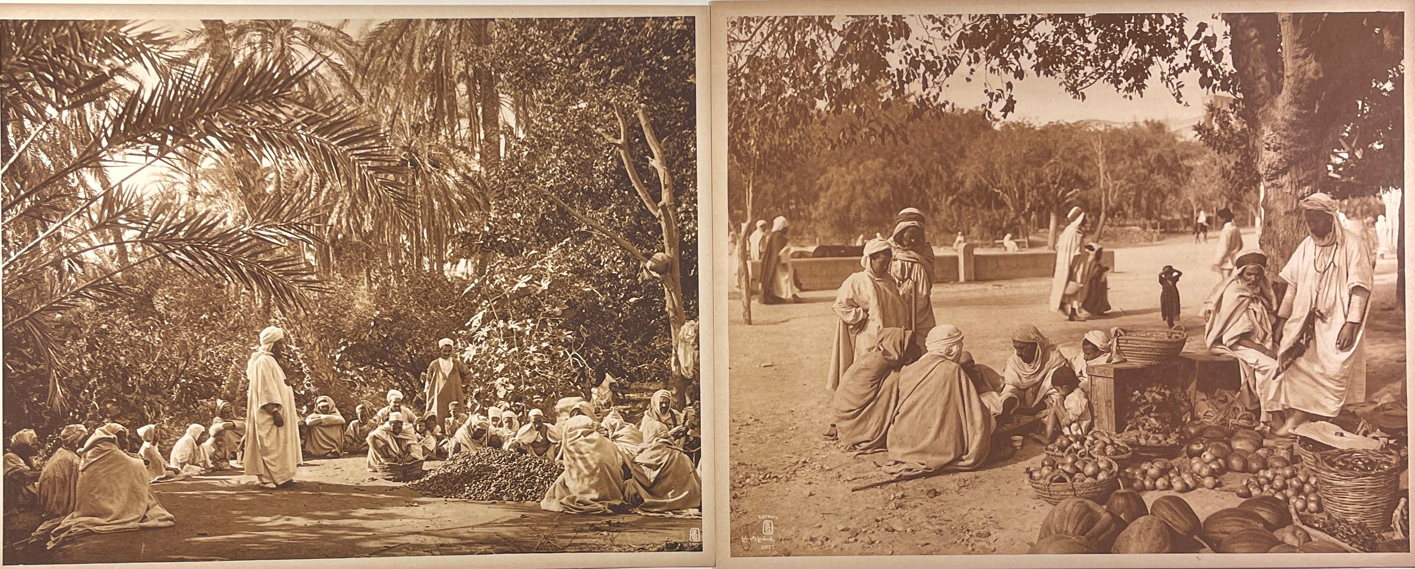 Lehnert & Landrock Photogravures - Lot of 20 Original Photogravures