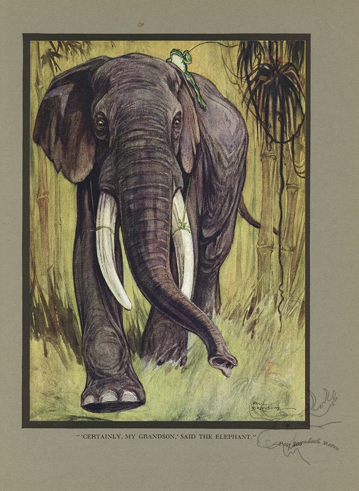 The Frog's Saddle Horse Limited Edition Tipped-In Color Book Plate - Paul Bransom Antique Print at Adirondack Retro