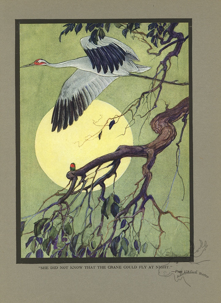 The Hummingbird and The Crane Limited Edition Tipped-In Color Book Plate - Paul Bransom Antique Print at Adirondack Retro