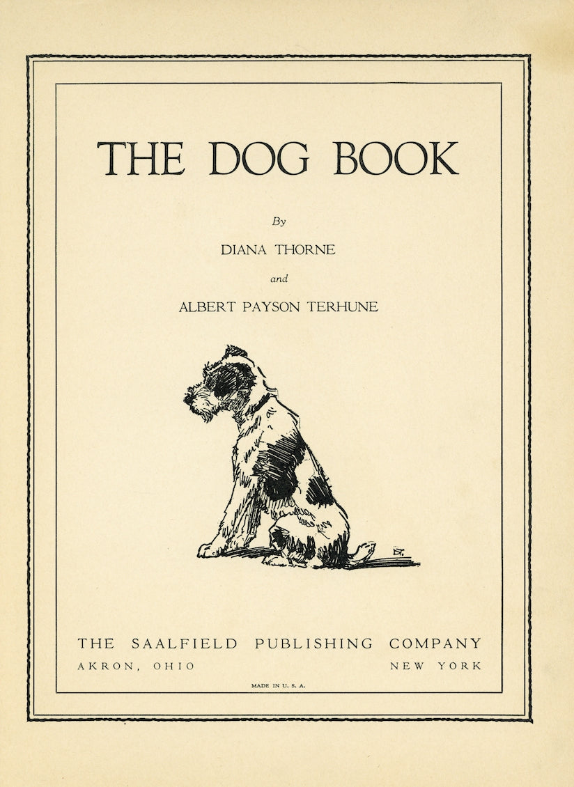 1932 Diana Thorne Vintage Dog Print - Setter - Plate