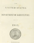 1903 Splendor Prune and Sugar Prune Antique USDA Fruit Print - D.G. Passmore