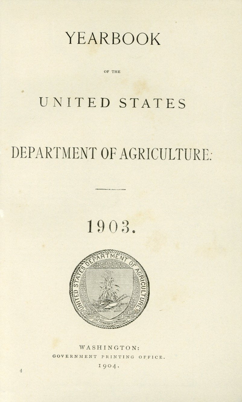 1903 Hiley Peach Antique USDA Fruit Print - D.G. Passmore