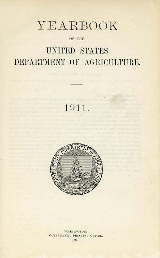 1911 Panariti Grape Antique USDA Fruit Print - A.A. Newton